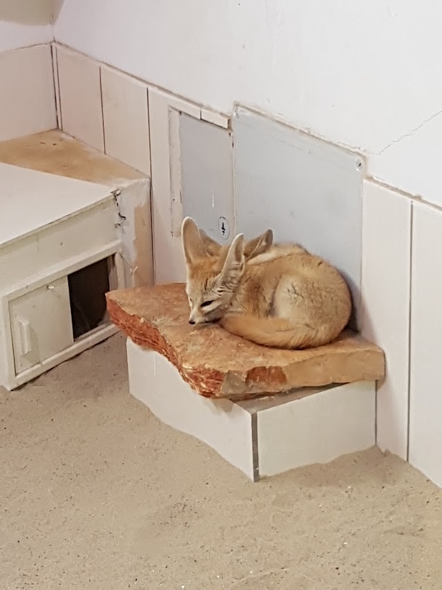 Bioparco di Roma