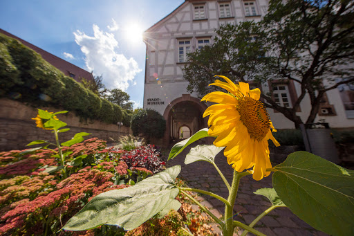 Stadtmuseum und Museum der Deutschen aus Ungarn - Thumbnail