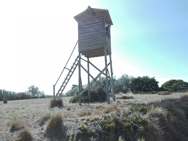 Tapada Nacional de Mafra