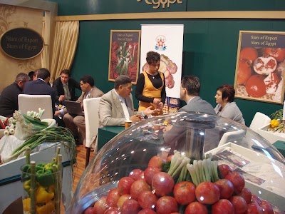Photos of Stars of Export