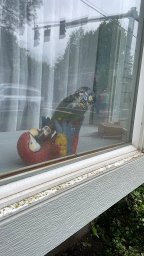 BiZee Bird Store Gallery - United States