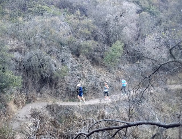 Paseo Miramar Trailhead