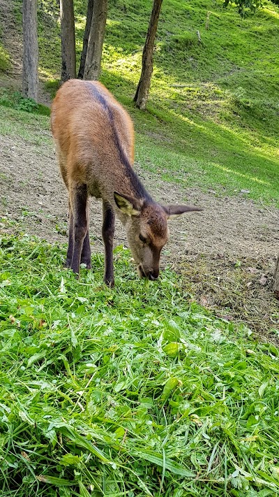 Parc Animalier d