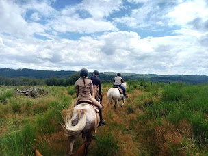 Photo n°15 de Ferme des Highlands à Saint-Léger-la-Montagne (Centre de randonnée équestre)