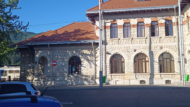 Piatra Neamț