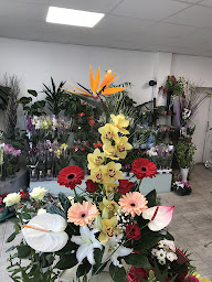 Photo n°4 de Fleurs de l'Est à Toul (Pépinière)