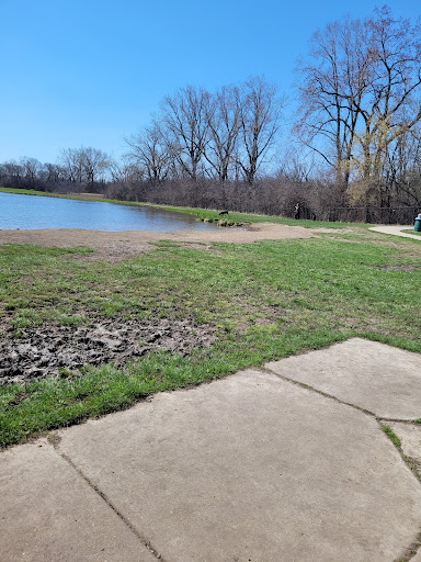 Beck Lake Off-Leash Dog Area - Thumbnail