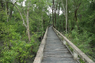 Photos of Tengragiri Wildlife Sanctuary