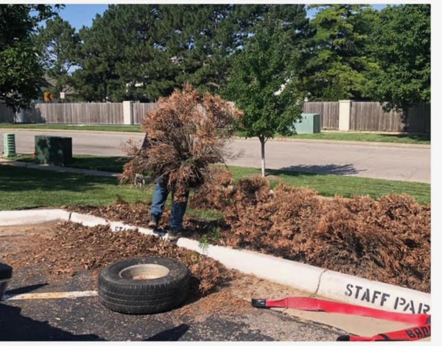 True Lawn Care, LLC