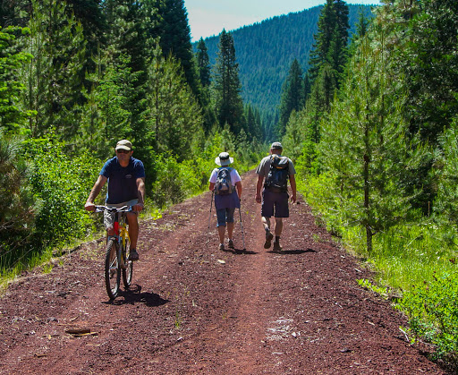 The Great Shasta Rail Trail