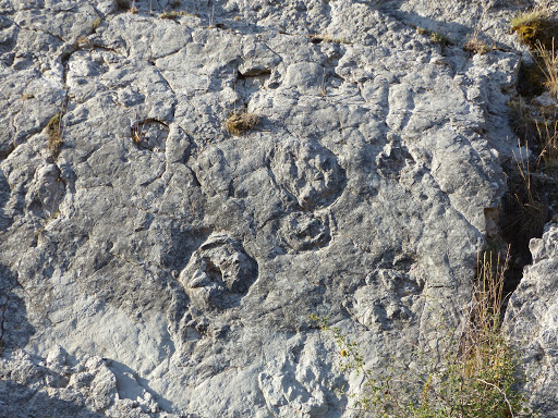 Itinerario geológico Aguilar del Alfambra