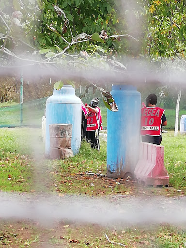 Paintball Falco - Thumbnail