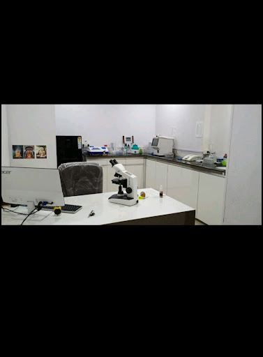 Gallery image 15