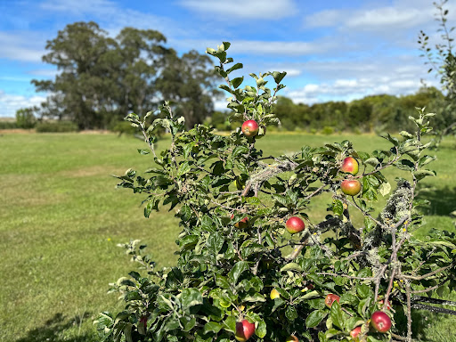 Tasman Memorial Recreation Reserve - Thumbnail
