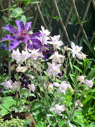 Photo n°24 de Chambre d'Hôtes familiale Les Clématites à Bray-Saint-Aignan (Chambre d'hôtes)