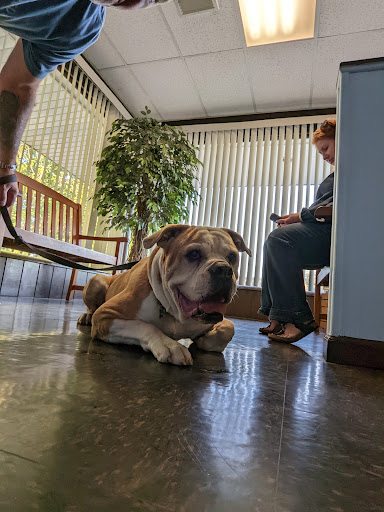 Round Valley Animal Hospital