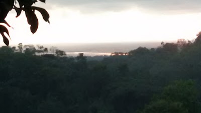 Photos of Eden tica uvita
