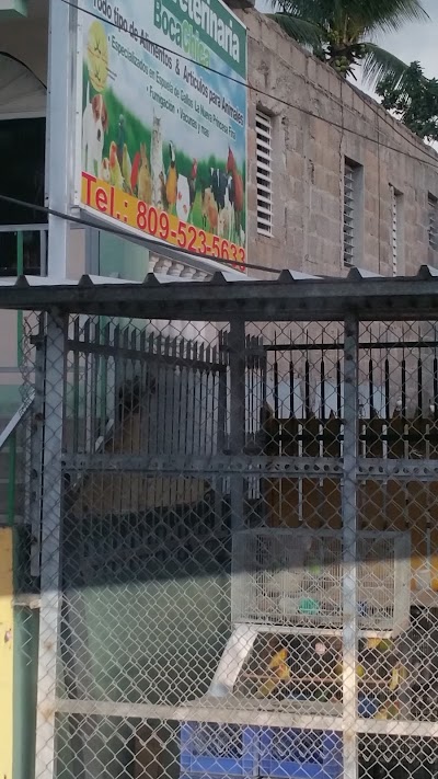 veterinary-care