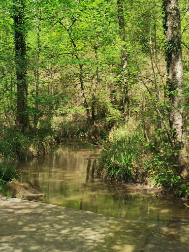 Urbach forest adventure path Gallery - Germany