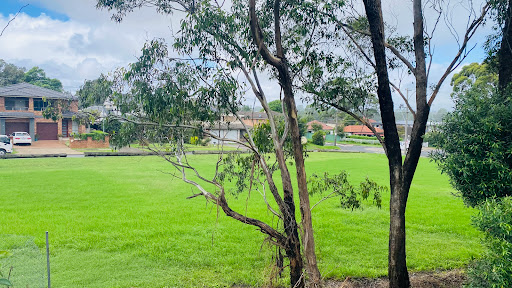 Horsley Reserve - Thumbnail