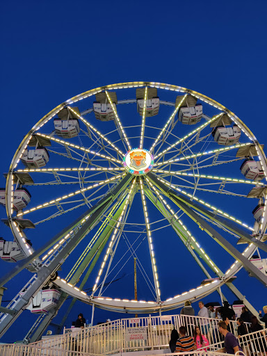 Palace Playland - Thumbnail