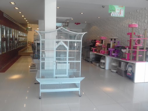 🕗 Zoo Pet Shop Riyadh opening times, 537, Takhassusi Street, tel. +966