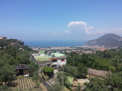 Photos of Hotel Royal Hills