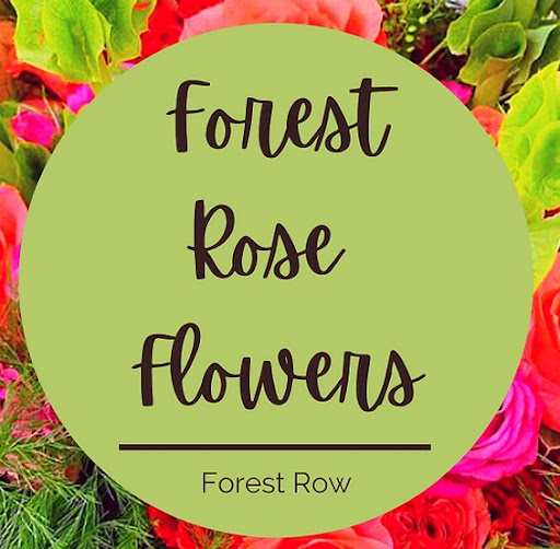 Forest Row - Visual