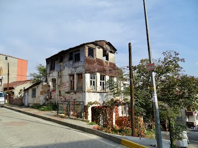 Cedid Alipaşa Cami