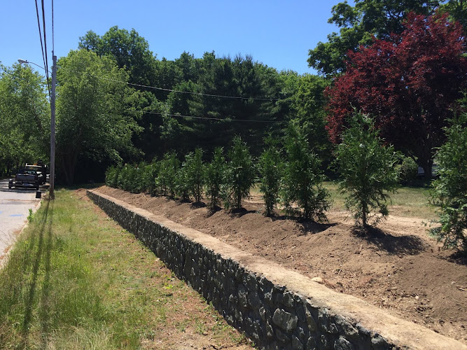Coastal Timber Tree Service