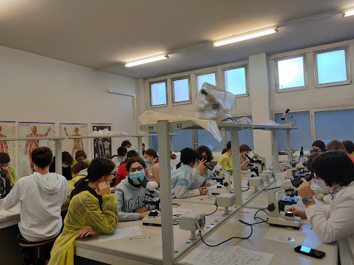 Liceo Galilei - Thumbnail