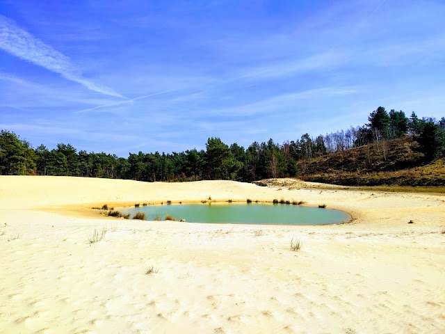Mechelse Heide