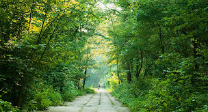 Photo n°25 de Parc forestier de la Poudrerie à Sevran (Administration départementale)