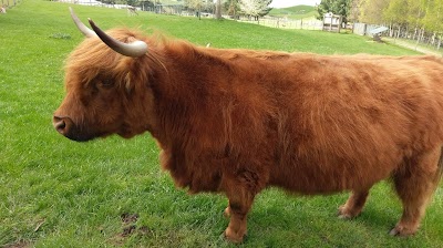 Photos of Lilliput Farm Fun & Animal Park