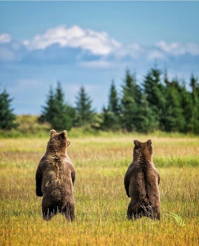 Lake Clark National Park and Preserve