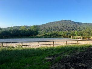 Photo n°11 de Treyve Paysages à Saint-Didier-la-Forêt (Constructeur d'abris de jardin)