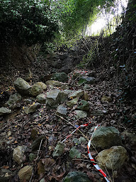 Photo n°3 de SAS PAILHES TP TERRASSEMENT à Saint-Paulet-de-Caisson (Service de transport)