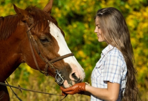 SmilingHorse