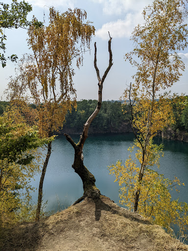 Haselberg-Straßenteich - Thumbnail