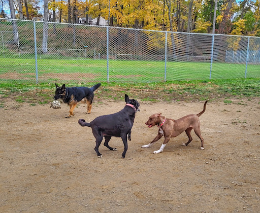 J Tracy Hermann Memorial Dog Park Gallery - United States
