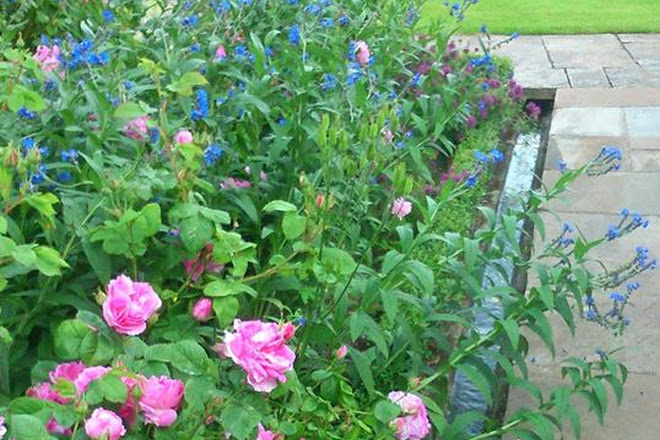 Visit Bide A Wee Cottage Garden On Your Trip To Morpeth