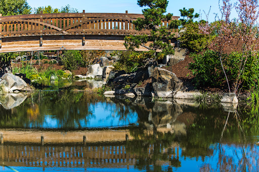 Fernhill Wetlands - Thumbnail