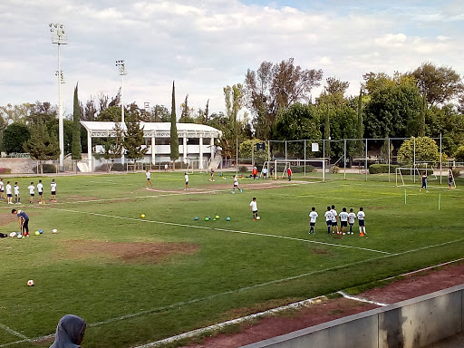 Escuela Filial Pumas Ags (Sede1) - Thumbnail