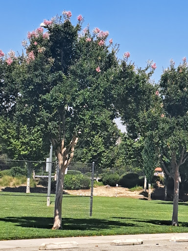Col Lewis Millett Park - Thumbnail