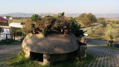 Mrizi i Zanave Agroturizëm