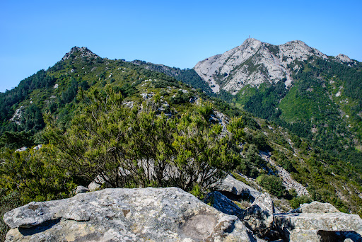 Santuario delle Farfalle «Ornella Casnati» - Thumbnail