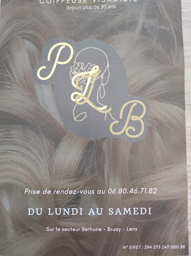 PLB coiffure à domicile Gallery - France