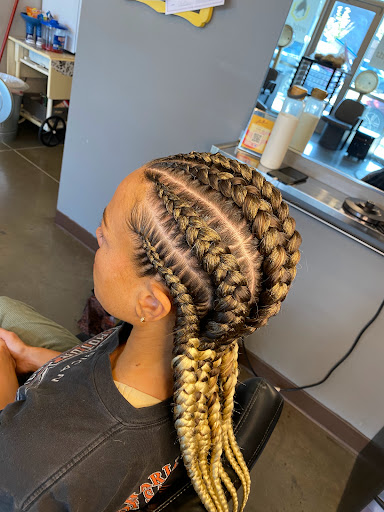 Anthro Braid - Visual