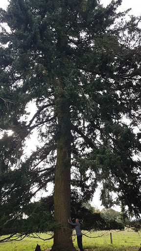 Adams Arboretum - Thumbnail