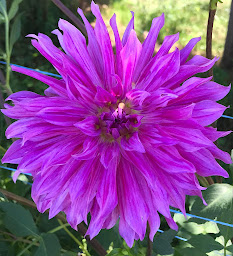 Photo n°1 de Earl las'co à Montignac-Lascaux (Magasin de produits de la ferme)